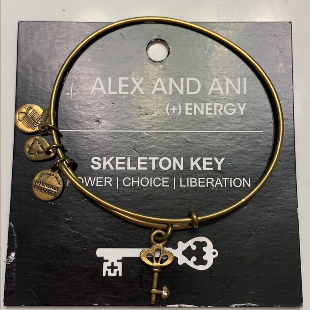Alex and Ani bracelet